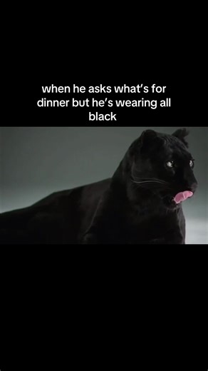 Four Course Meal Ideas for a Romantic Dinner