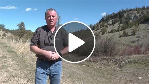 Montana spring turkey hunting season brings new start date rules for non-resident hunters this year - NewsBreak
