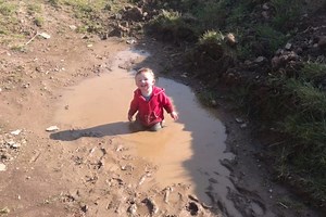 The diary of the homemade livery yard: 'There are some people here, mummy. They look strange!' - Horse & Hound