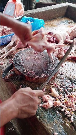 Chicken Chopping for Beginners: A Step-by-Step Guide
