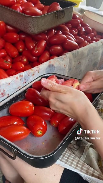 Italian Surfer su TikTok