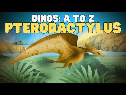 Dinos A to Z: Pterodactylus | Learn about this iconic pterodactyl