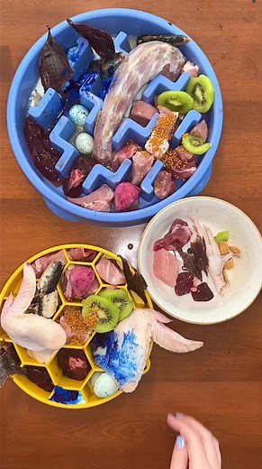 16K views · 168 reactions | Making homemade dog food 領諾 #dogs #dogmom #dogfood #rawfeddog #dog #dogtreats #kibble #reels | Kayla Kowalski Nutrition | Facebook