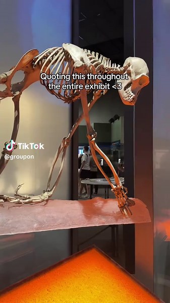Exploring NYC's Natural History Museum: A Dinosaur Adventure