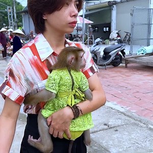 614K views · 11K reactions | Monkey Kaka's Fun Day Out Shopping at the Market with Mom | Monkey TV | Facebook