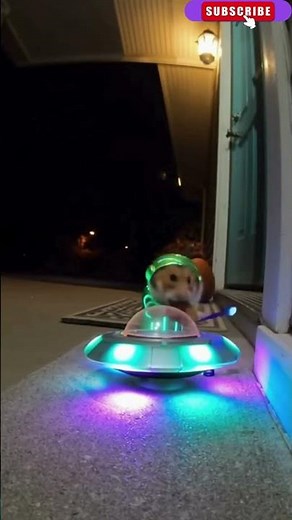 👽 الهامستر الفضائي يهبط أمام الباب ويطلب السناكات! 🐹🚀 | لقطة غريبة من كاميرا البابAlien Hamster #ai