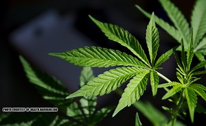 Balikbayan box ginagamit na sa drug smuggling – BOC