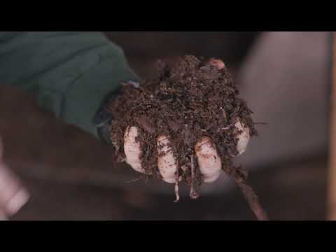 Worm Wedges - How we create Arizona's Best Castings