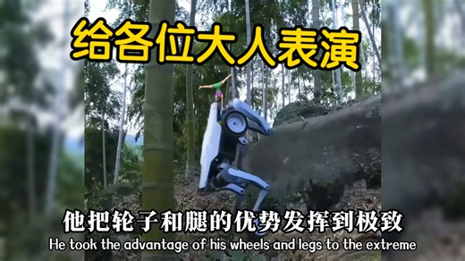 年度最强「机器狗」来了｜国产「山猫」👑