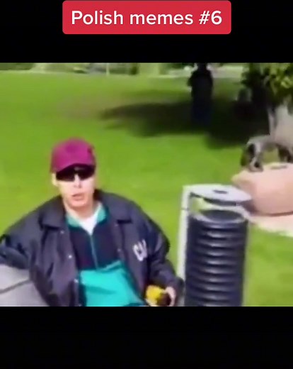 Exploring the Funniest Polish Memes #6