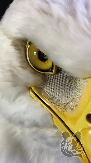 Akela Taka on Instagram: "This is how I made the bald eagle fursuit mask. #handmade #wip #processvideo #howtoperfectskin #birdart #birdsofpray #cosplay #costume"
