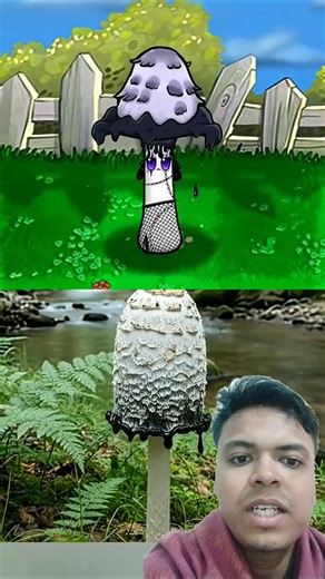 The Shaggy Ink Cap #plantsvszombies #pvz