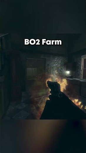 BO2 Farm vs BO3 Farm