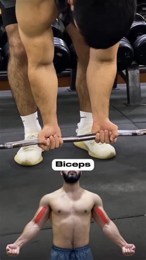 BODYBILDING | FITNES | COACH on Instagram: "Biceps 🦾 • • • #gym #gymmotivation #instamood #fitness #gymlife"