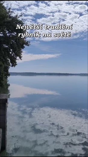 The largest traditional pond in the world was built between 1584 and 1590 as a tribute to William of Rosenberg. Jakub Krčín's masterpiece originally covered an area of over 1,000 hectares of water and its construction required the slave labor of eight hundred workers and subjects from surrounding villages. The over 2.3-kilometer-long dam, built of clay, stone and wood, is equipped with an elaborate water regulation system. It burst when it was filled, which triggered a huge operation during whic