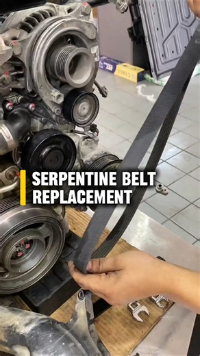 Serpentine Belt Replacement