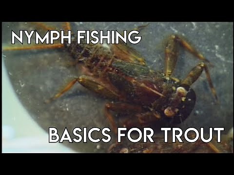 Nymph Fishing Basics for Trout