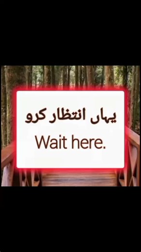 Enhance Your English Skills at Our Learning Academy