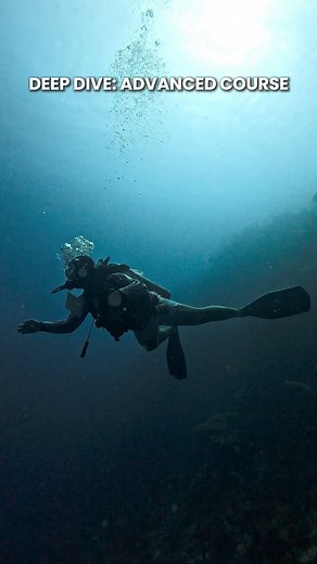 47K views · 476 reactions | The deep dive is an exciting part of the...