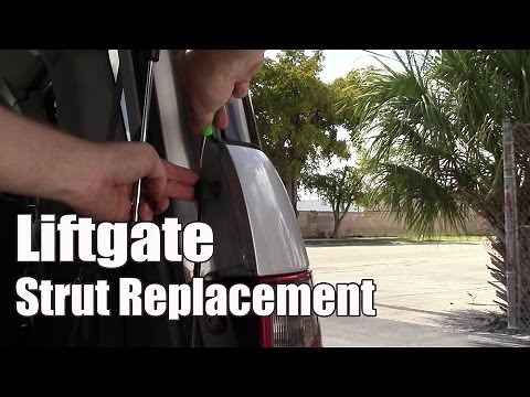 Honda Liftgate Lift Support Replacement