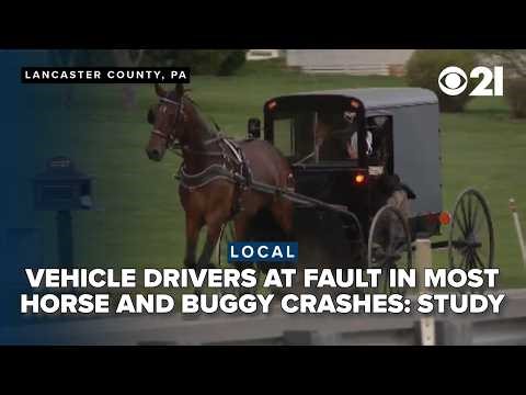 New study finds that vehicle drivers are at fault in majority of horse and buggy crashes