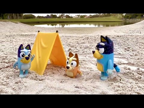 BLUEY & Bingo beach adventure 45 minutes