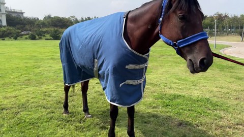 Cetaphil Face Wash, Hydrating Gentle Skin Cleanser for Dry to Normal Sensitive Skin, 20 oz, Fragrance Free, Soap Free and Non-Foaming