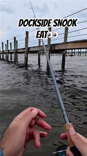 Where Was This SNOOK Staged on the Dock? 🎣 | Snook Fishing Secrets