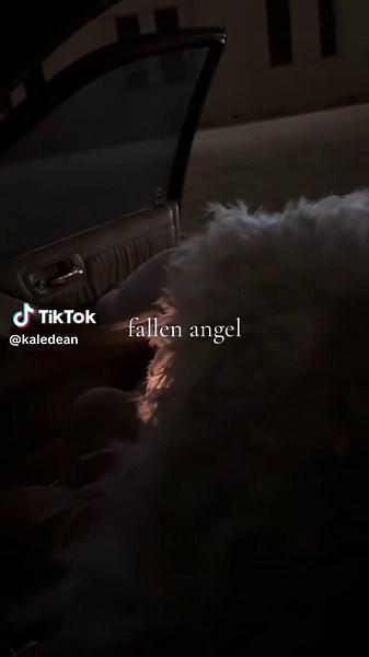 angel down…🪽 #fypp #viralvideo #blowthisup #throwback #fallenangel | fallen angel