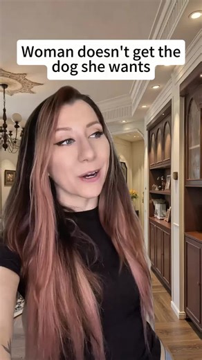 When Eavesdropping Turns into a Viral Dog Drama! 🐾😱 #storytime #drama #trending #tiktok #snerixx #viral #pov #foryou #story #fyp #fypシ