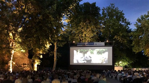 Open-Air-Kinos in der Region: An diesen 8 Orten können Sie Filme unter freiem Himmel genießen