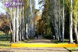 70K views · 1.5K reactions | 《文茜的世界財經周報》 【誰會是西雅圖2.0版：人工智慧龍頭之一亞馬遜...