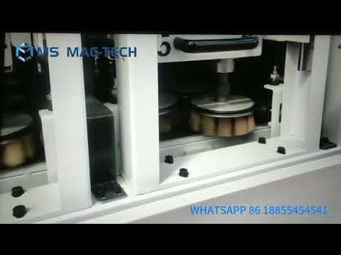 cabinet doors profile sanding machine
