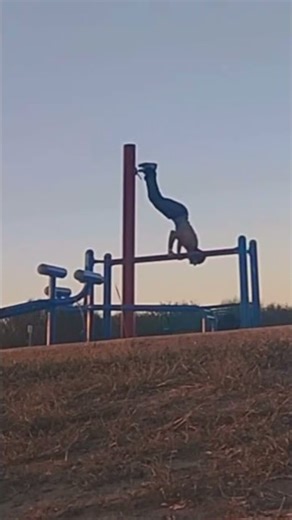 Batman Sets His 362nd World Record Of A Perfect "Lift" #worldsstrongestman