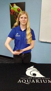 1.9K views · 48 reactions | It's Fearless Friday, and we are featuring an eight-legged friend named Esmeralda. Esmeralda is a Mexican red knee tarantula, and she is helping Lora explain why many animals are feared because they are not understood. | The Living Planet Aquarium | Facebook