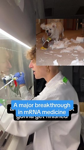 Descubrimiento Importante en Medicina mRNA