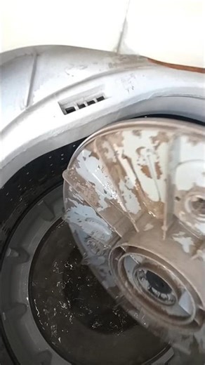 LG Automatic Washing Machine Kapde Saaf Nahi Kar Rahi Drum Me Pani Jama, Pulsator Ganda