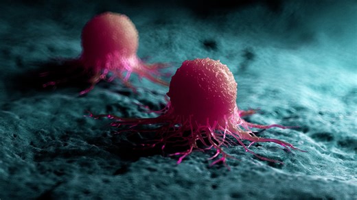 Singapore population hits record 6.11 million as foreign worker numbers rise