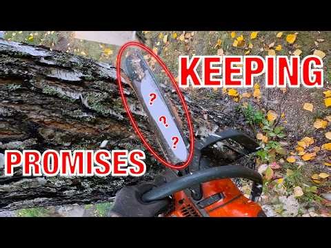 2025 Job 32: I Promised You To Review This Chainsaw Bar — Here It Is