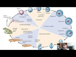 Making New Bodies (Chapter 1)