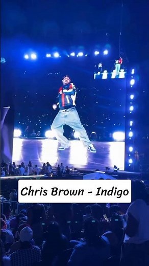 Chris Brown - Indigo pt1 / The R&B Tour