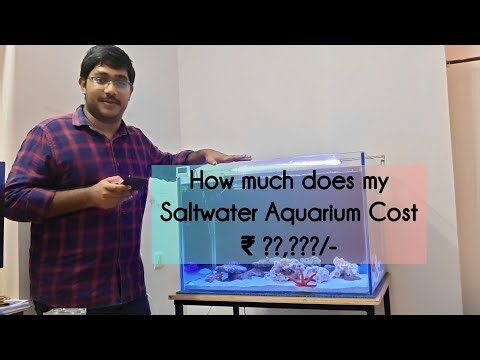 Ep:5 - How to Set-Up Marine Aquarium With Cost Efficiency | Overall Cost of My Saltwater Aquarium🌊🐠🪸