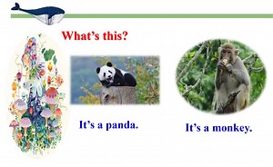 三下Lesson 7-10 复习