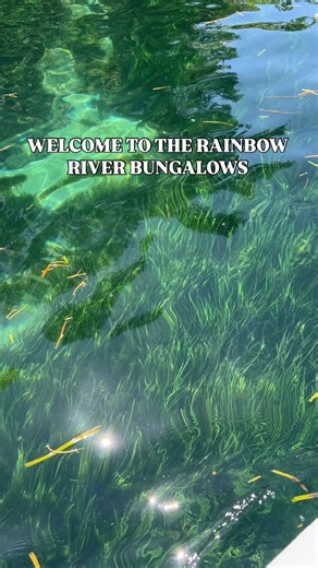 WELCOME TO THE RAINBOW RIVER BUNGALOWS ☀️🌴 ⛺️ OUR UNIQUE RAINBOW RIVER RENTAL COMMUNITY SHOULD BE ON YOUR BUCKET LIST ADVENTURE!! ⛺️ 🌈 Come enjoy the perks of staying with us as we are located right next to KP Hole Boat Ramp and ALL OF OUR GUEST gain FREE entry to Rainbow River and we are located less then 10 minutes away from Rainbow Springs State Park ⛺️ We have 22 unique Bungalows to choose from. Click the link in the bio to take a look! We can accommodate anywhere from 4- 6 guest per bunga