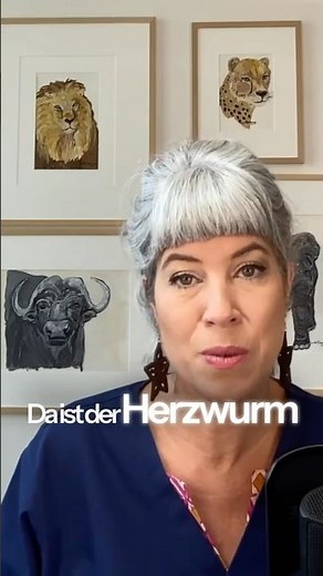 🐶🪱 #Würmer bei Hunden & Katzen – wann wird’s gefährlich? #Haustiere #Wurmbefall #entwurmung