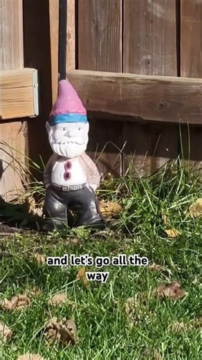 Zoom tests with the OnePlus15 Camera