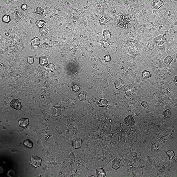 Melting of Colloidal Crystals