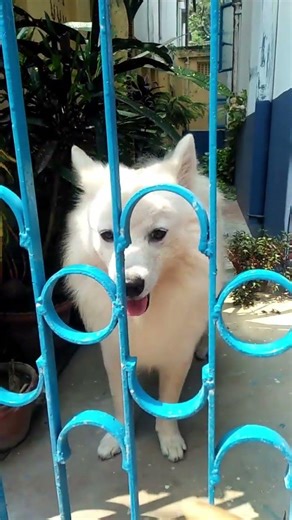 Simple moments,big happinessComment “ALEX” if you’re part of the Alex squad!#viral #trending #shorts