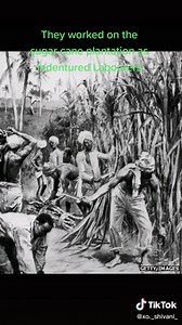 Happy Indian Arrival Day T&T | We Are Trinis