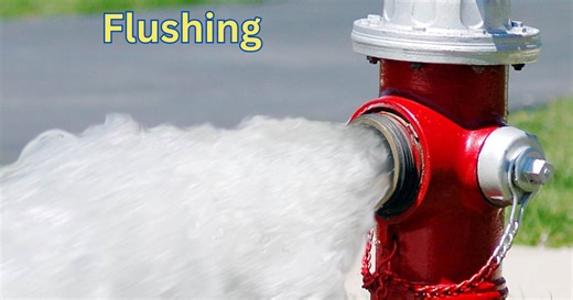 Decatur Fire Department to Flush Hydrants in April